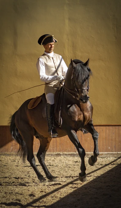 Nuno Vicente Com Universo, Créditos Rita Fernandes