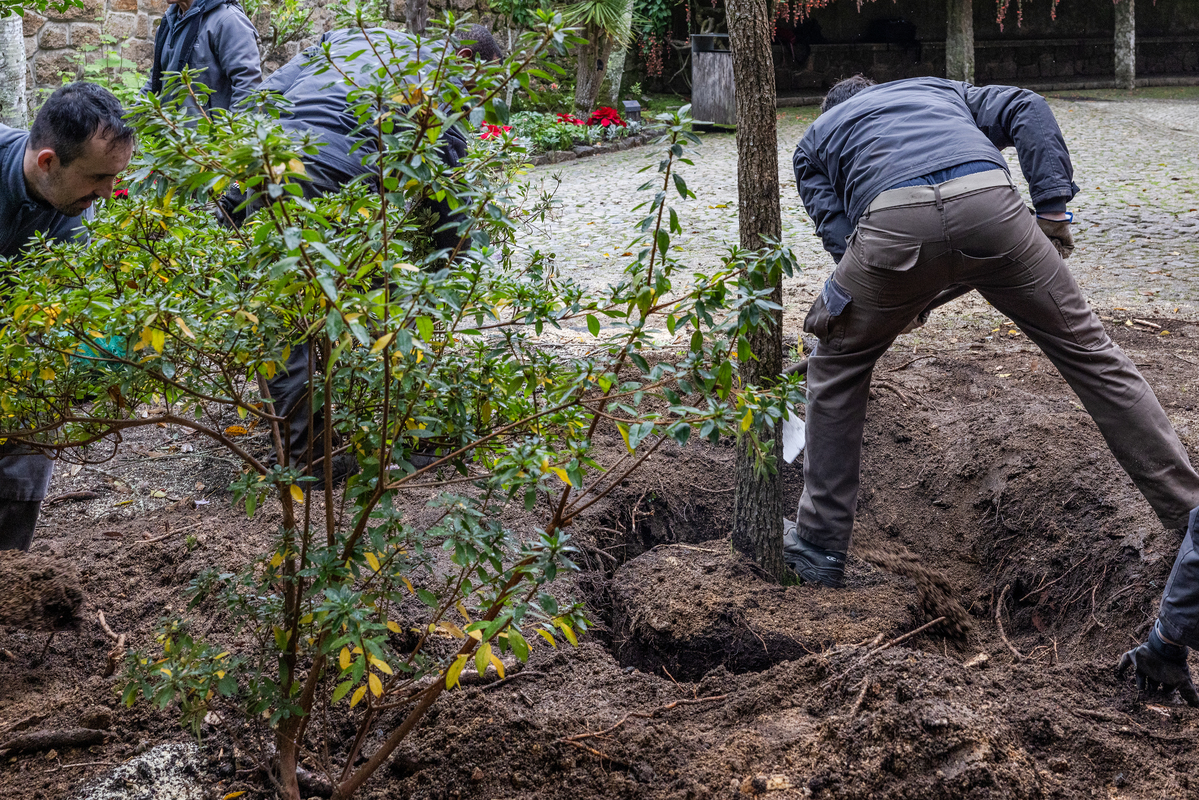 E7A0747©PSML Jose Marques Silva Bx