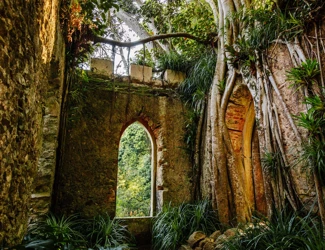 Parques De Sintra Parque E Palacio De Monserrate Ruina