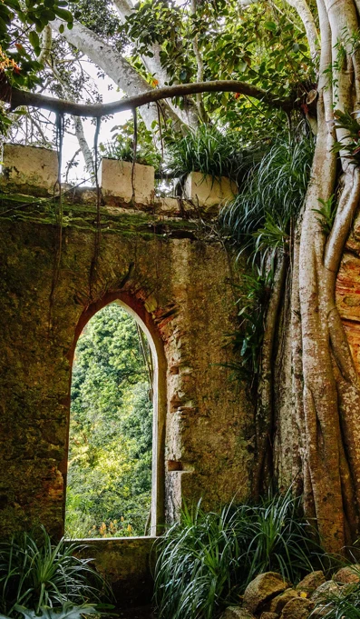 Parques De Sintra Parque E Palacio De Monserrate Ruina