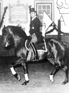 Foto Mestre Nuno Oliveira