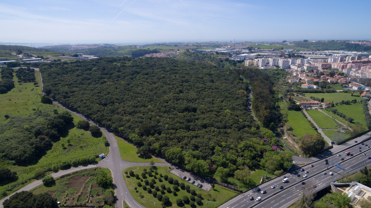 06 Palacio Nacional De Queluz Matinha Aerea Creditos PSML Wilson Pereira Bx