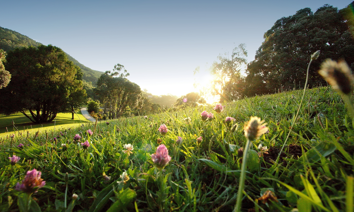 01 Parque De Monserrate Creditos PSML EMIGUS Bx