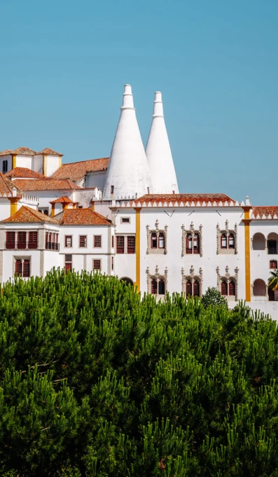 Parques De Sintra Palacio Nacional De Sintra Hero 01