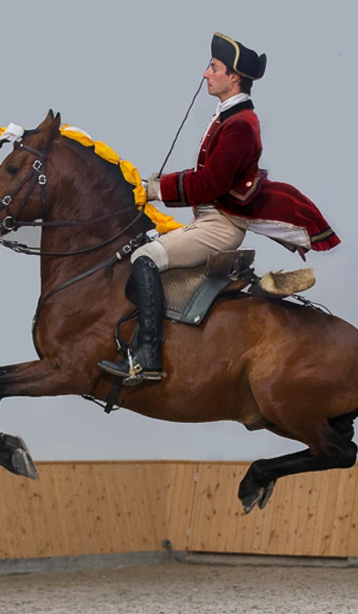 APP578 Exercises Ballotade MG 5515