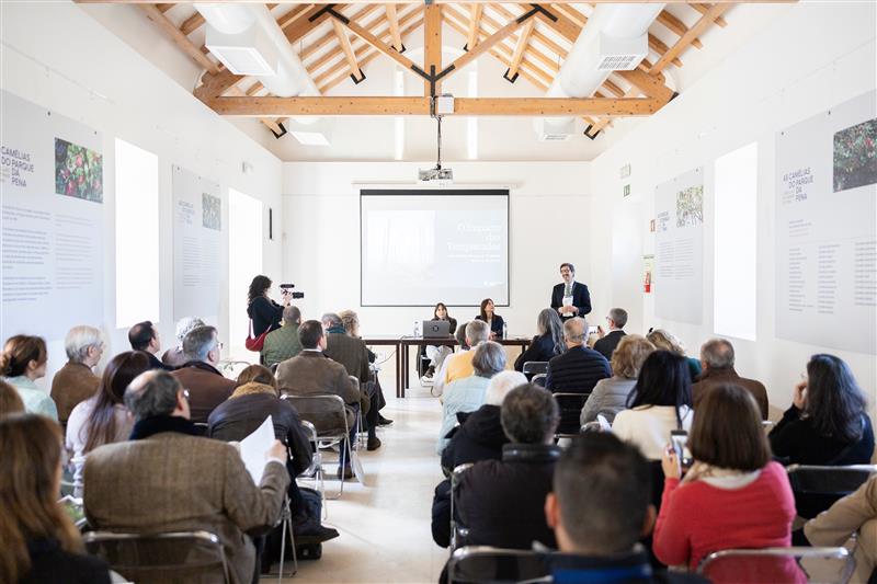 027 Sintra Resiliente EMIGUS