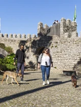 Castelo Dos Mouros Dogfriendly©PSML Jose Marques Silva