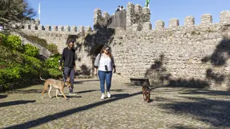 Castelo Dos Mouros Dogfriendly©PSML Jose Marques Silva