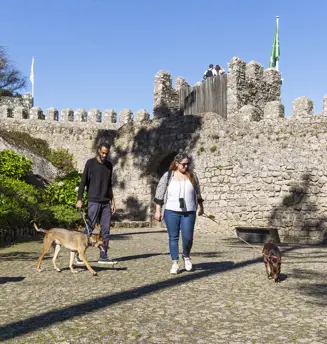 Castelo Dos Mouros Dogfriendly©PSML Jose Marques Silva