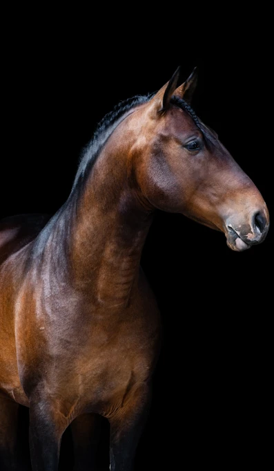 Marvao Créditos Abrfotografia (1)