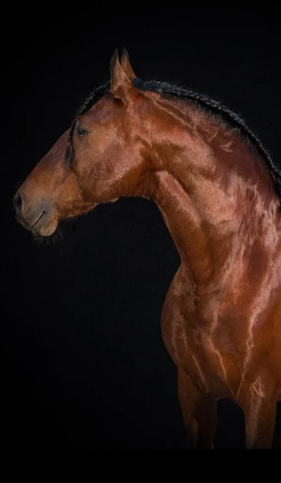 APP1116 Aomico SF 7854