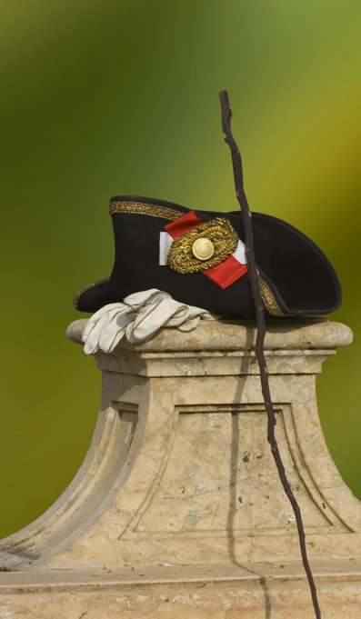 12 Tricórnio, Vara De Marmeleiro