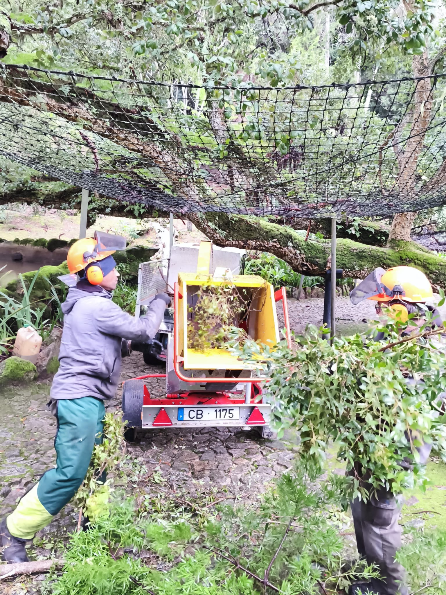 01 Parques De Sintra Transformacao De Madeira Caida Em Estilha Creditos PSML