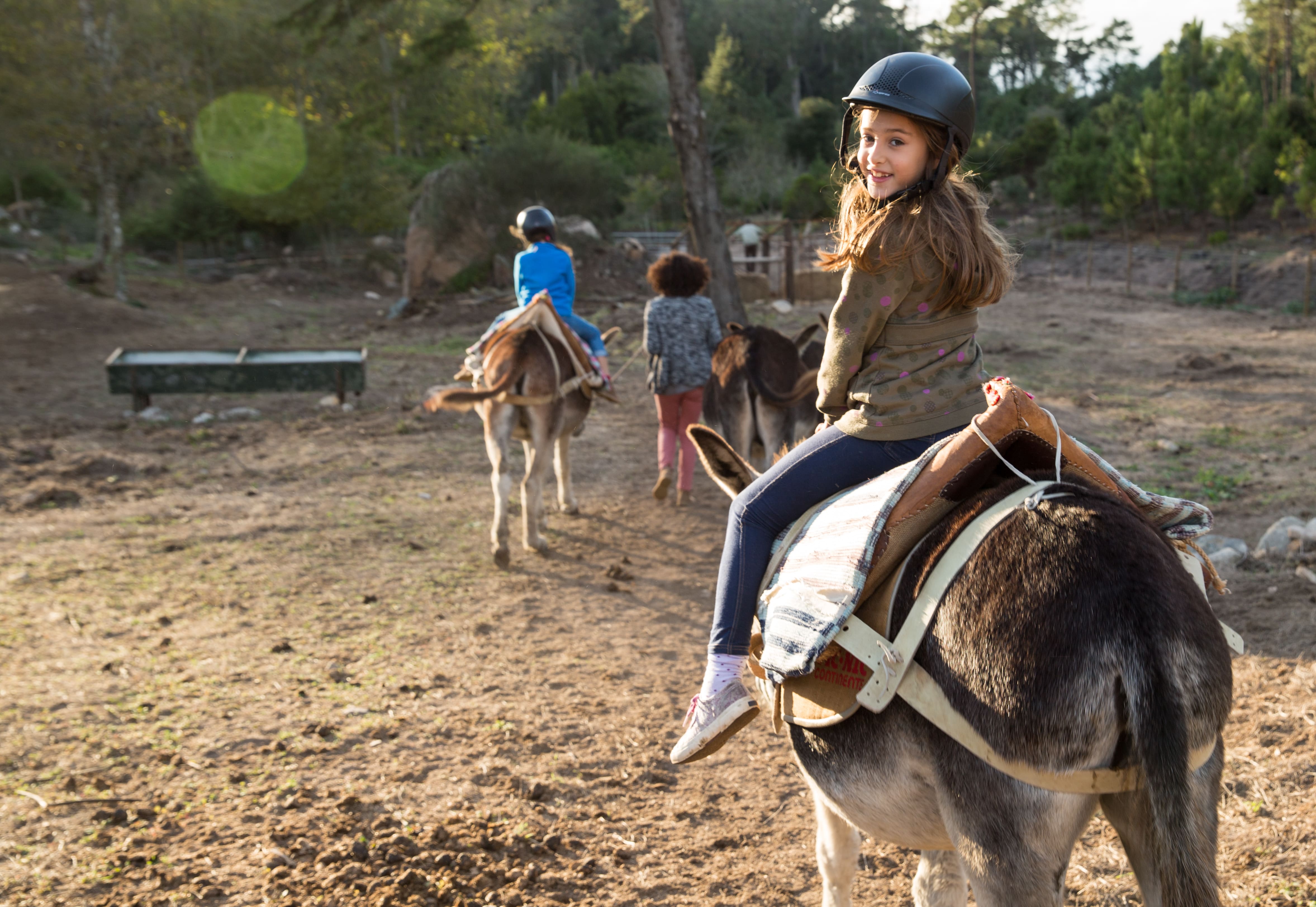 01 Reserva De Burros Tapada D Fernando Creditos PSML Wilsonpereira Rd