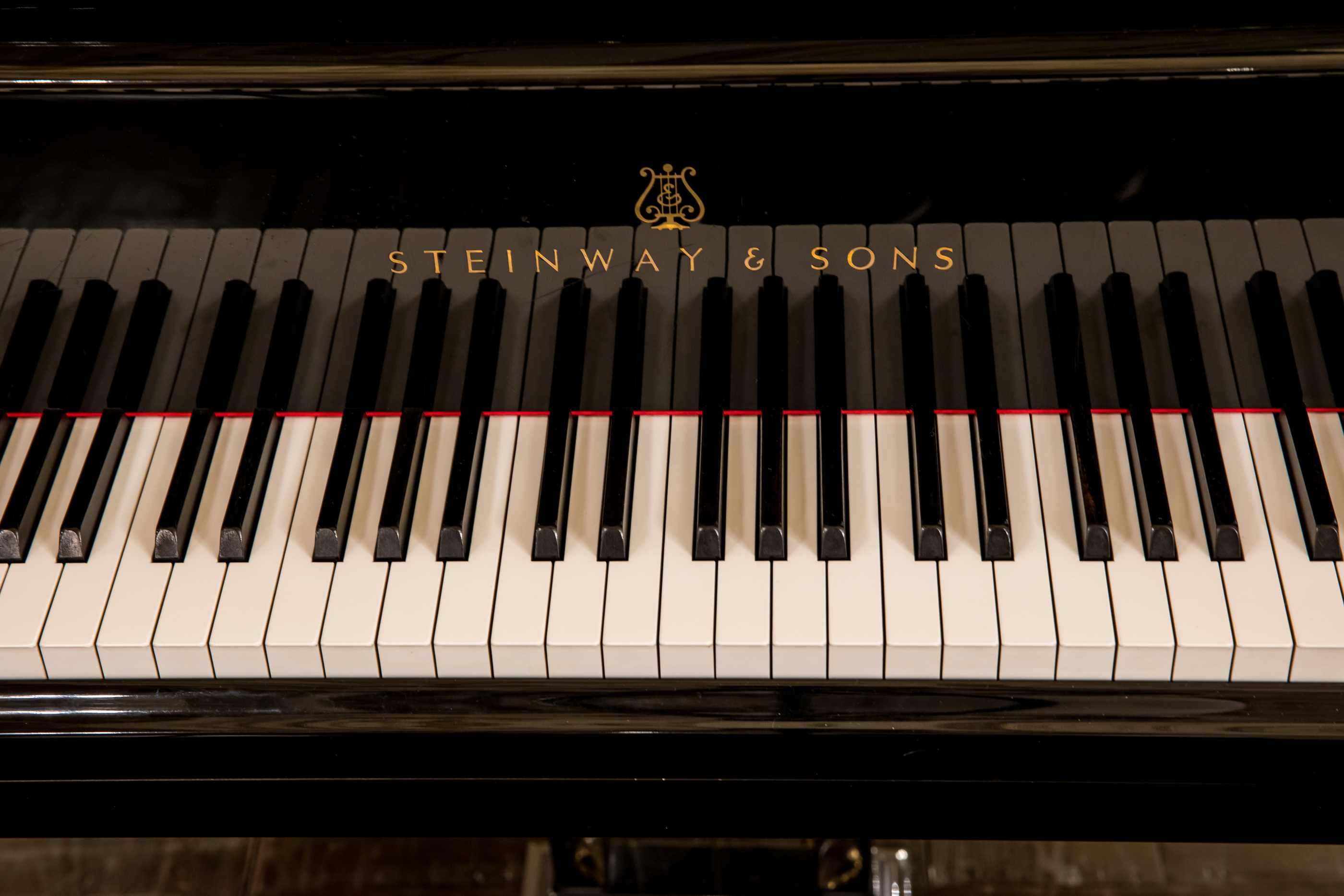 Lui╠Üs Duarte PSML 1284