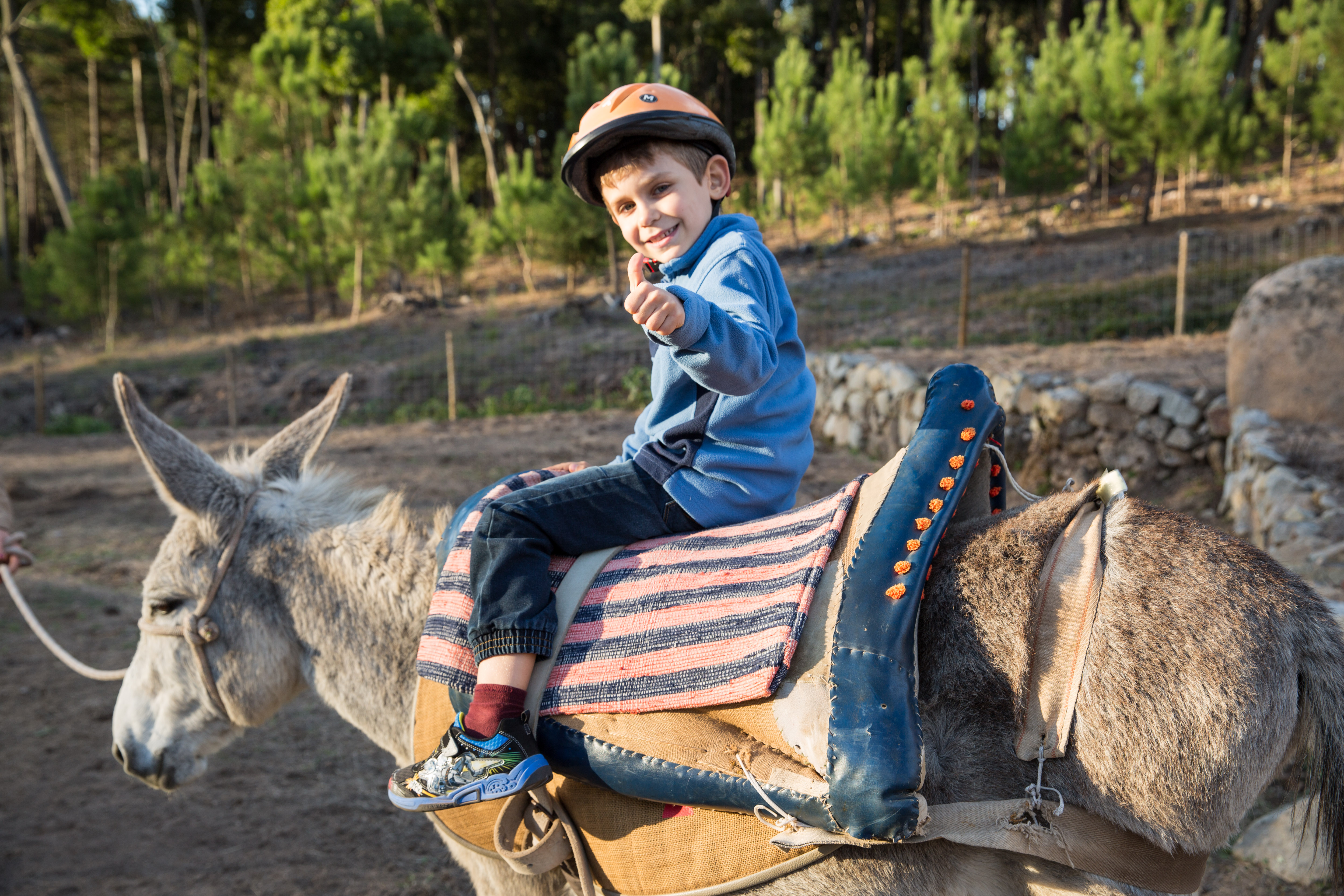 Burricando Creditos PSML Final