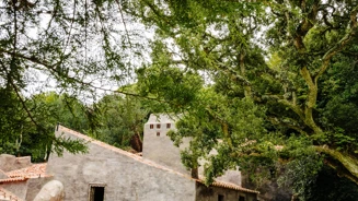 Parques De Sintra Convento Dos Capuchos Claustro