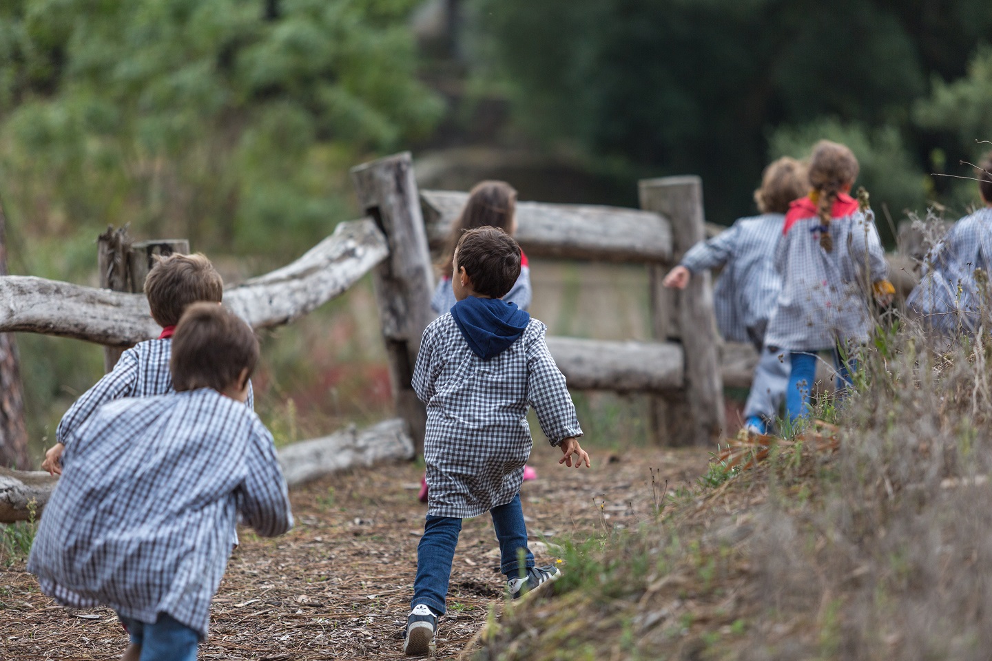 Actividades Quintinha Credits PSML WP 16 350