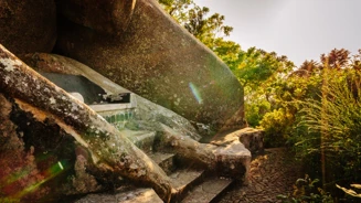 Parques De Sintra Parque E Palacio Da Pena Alto De Santa Catarina 01