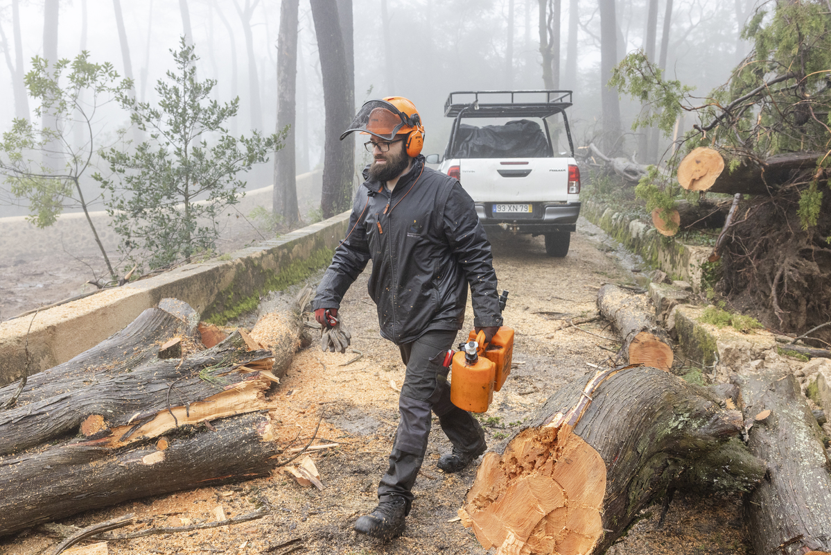 E7A7921©PSML Jose Marques Silva Bx