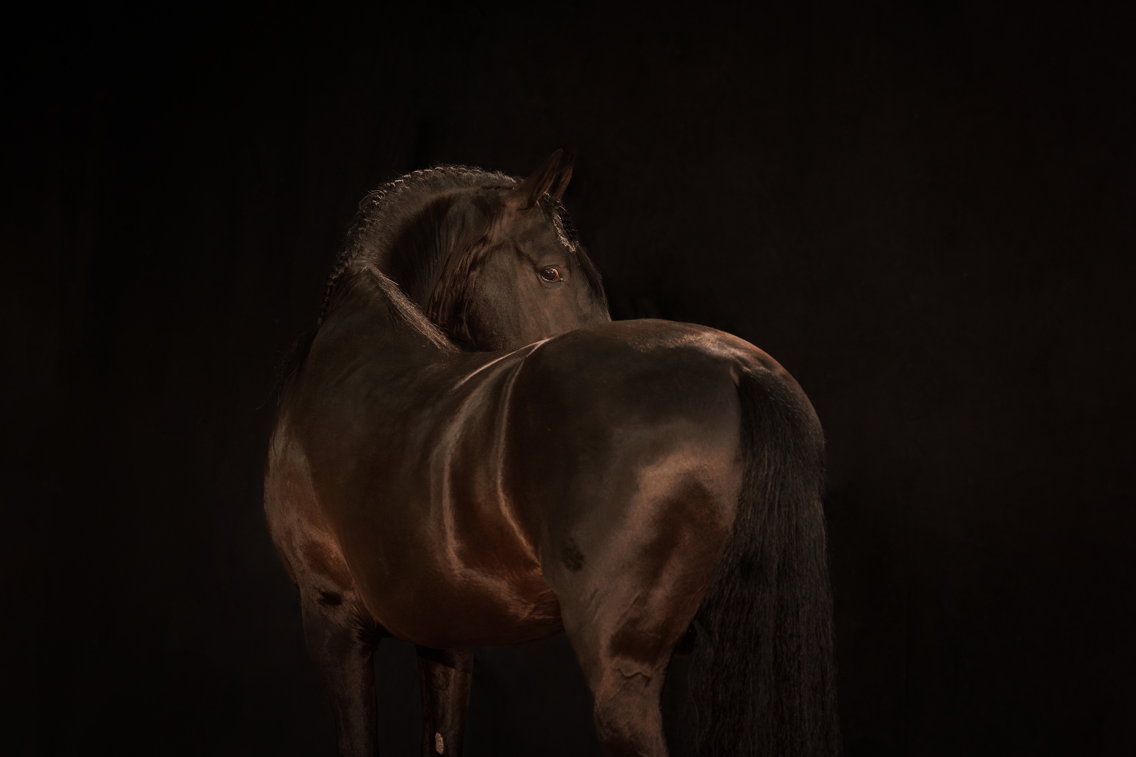5 Pingalinar J2A9244 Enhanced NR (1)