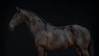 APP1116 Ihanique RF 5580