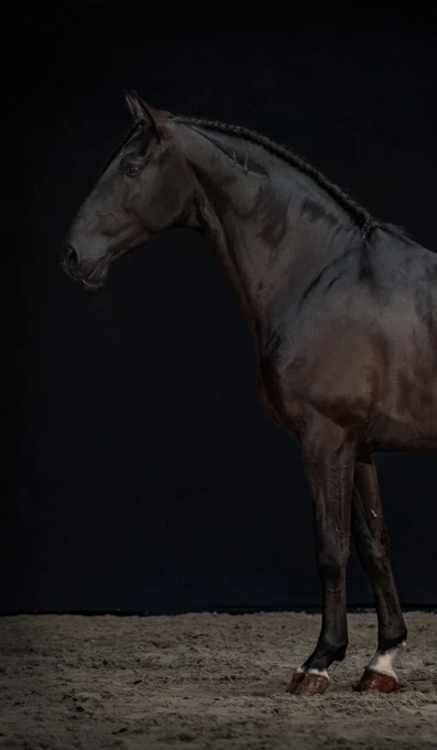 APP1116 Ihanique RF 5580