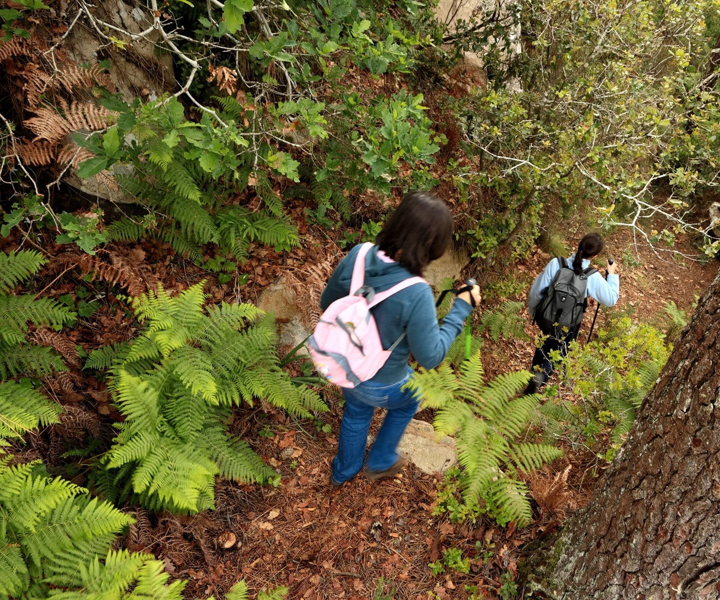 Percurso 3Cruzes Emigus 044 Bx Final