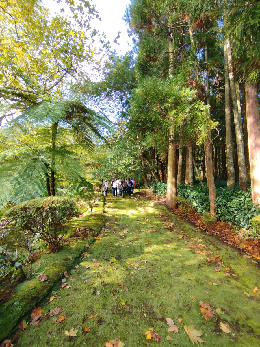 Piquinho Furnas©Ritaalves (3) Bx