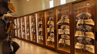 Parques De Sintra EPAE Image 03