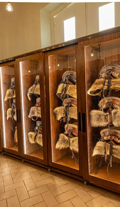 Parques De Sintra EPAE Image 03