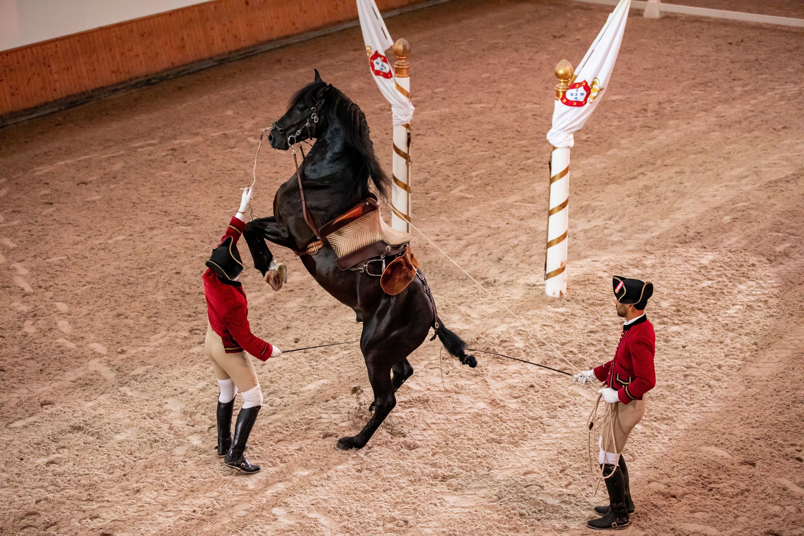 EPAE 04 ©PSML Luis Duarte (1) (2)