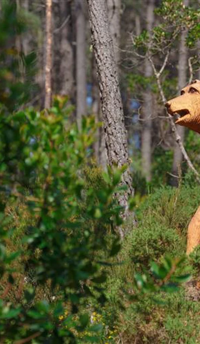 EMIGUS Tapada Monserrate 1 Urso Relatóriopor