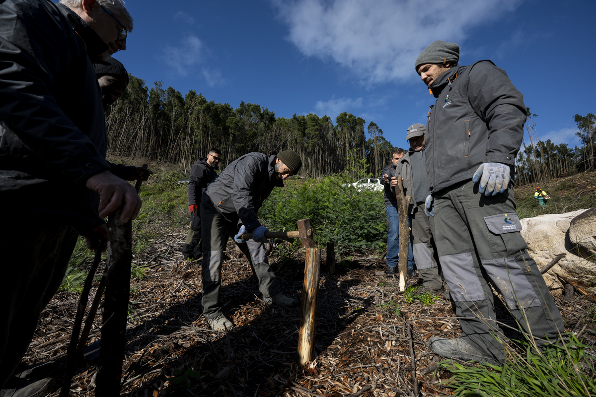 059 Monte Da Lua DSC 5952 20251120November 20, 2025 Bx Emigus