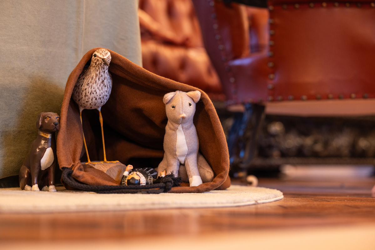 E7A9899©PSML Jose Marques Silva Bx