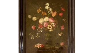 PNS3640 790X593px