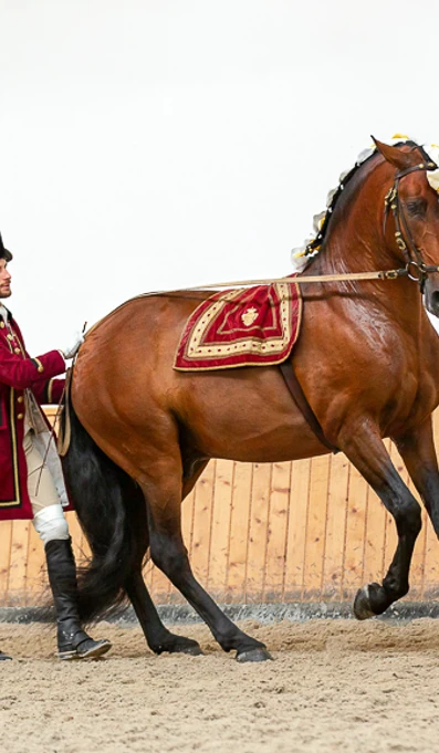 App578redeaslongas Gasquete RF 9249 Emanuel Lucas Creditos De Rita Fernandes