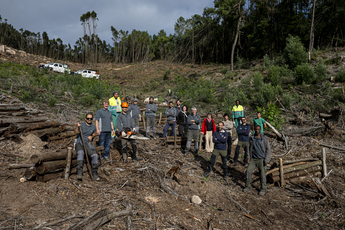 100 Monte Da Lua DSC 6063 20251120November 20, 2025 Bx Emigus