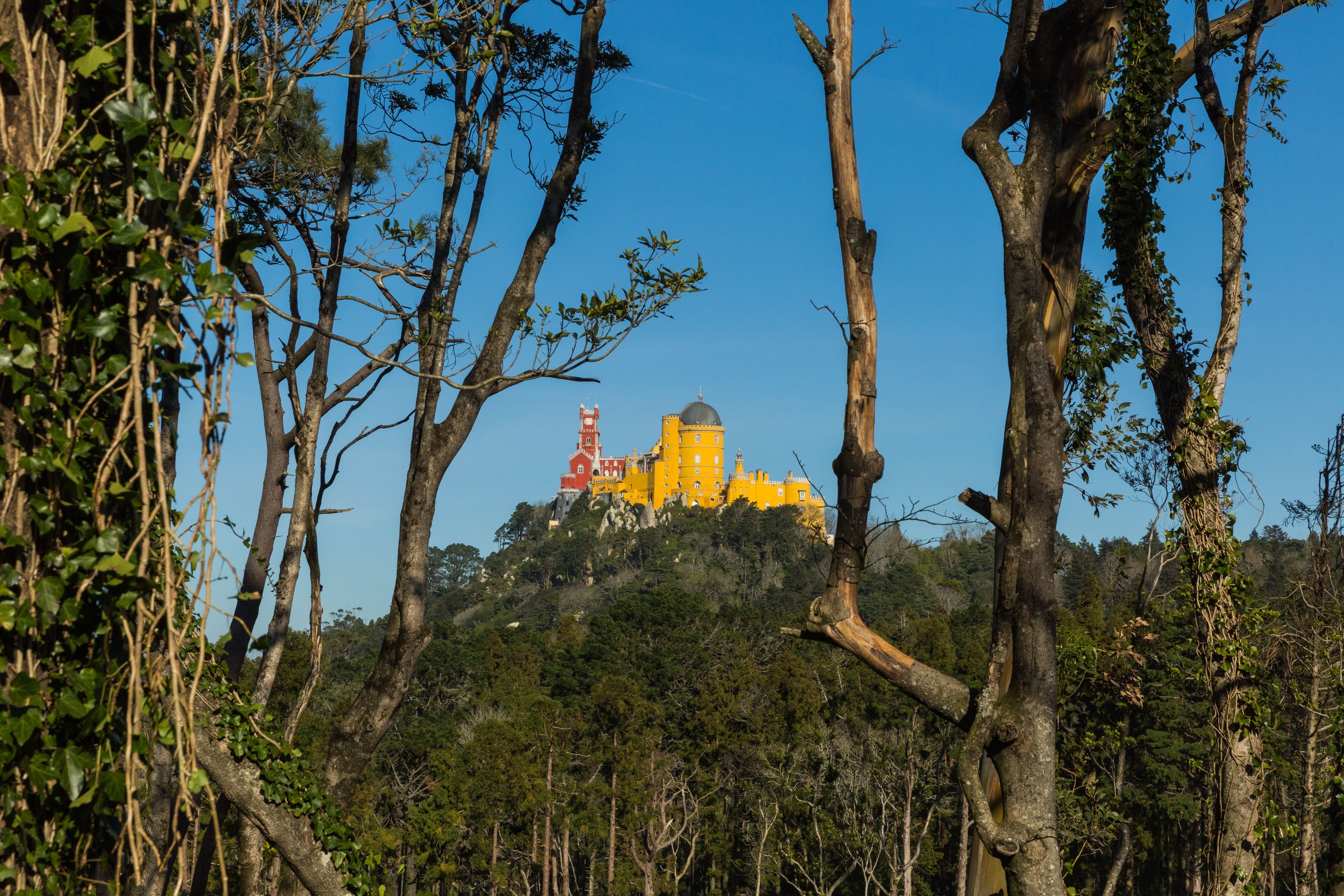 Palacio Da Pena Credits PSML WP 17 0 (1) (1)