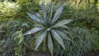 E7A7143©PSML Jose Marques Silva (1)