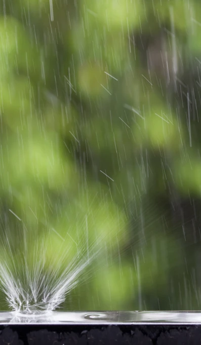 Microsoftteams Image (11)