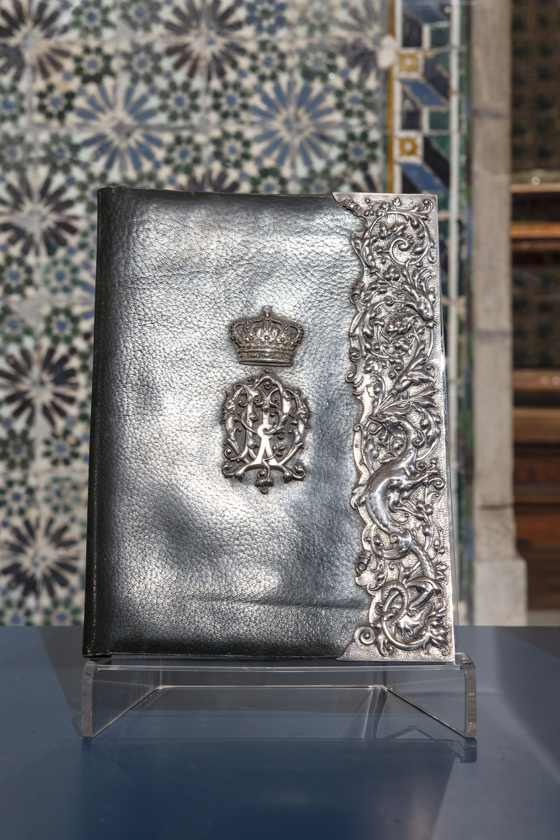 E7A8529┬®PSML Jose Marques Silva Bx