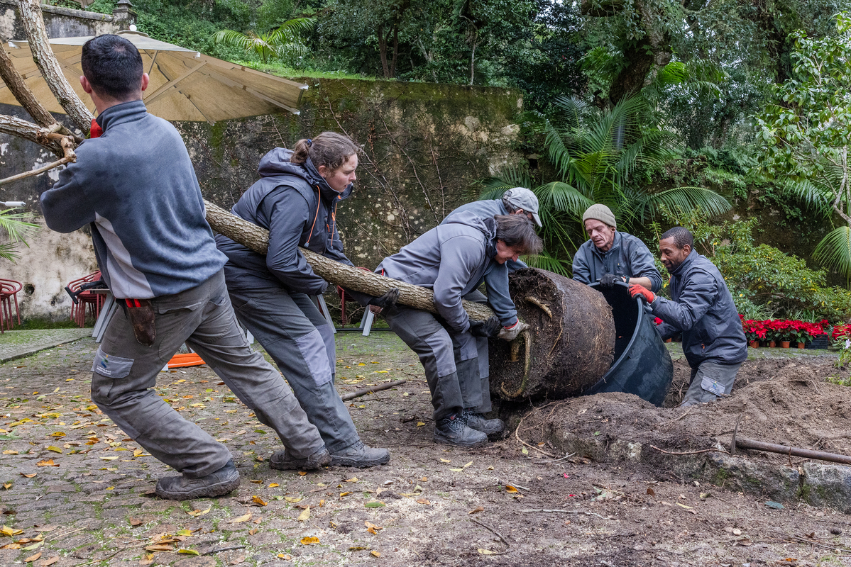 E7A0706©PSML Jose Marques Silva Bx