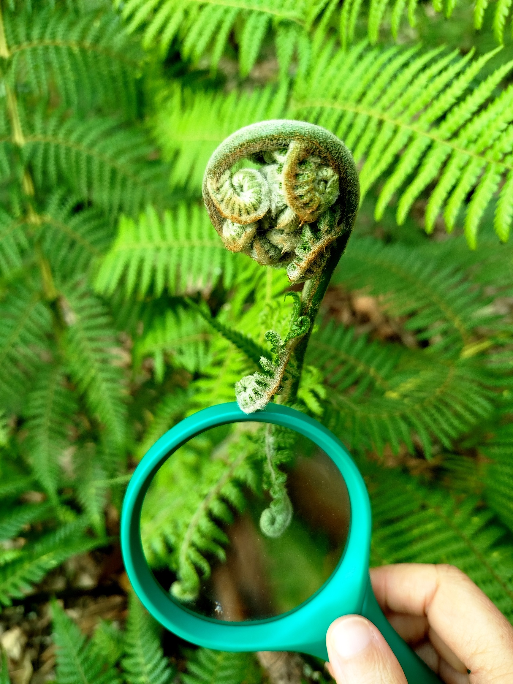 797N Biólogo Por Um Dia