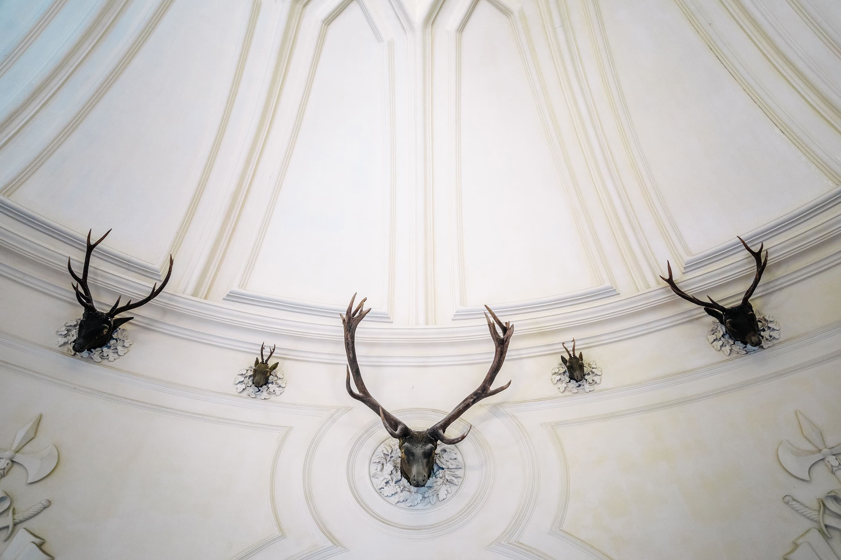 Parques De Sintra Parque E Palacio Da Pena Sala Veados