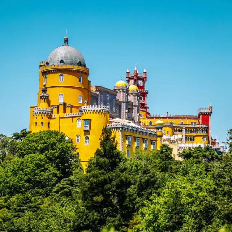 Weiland geest toren Park and National Palace of Pena - Sintra