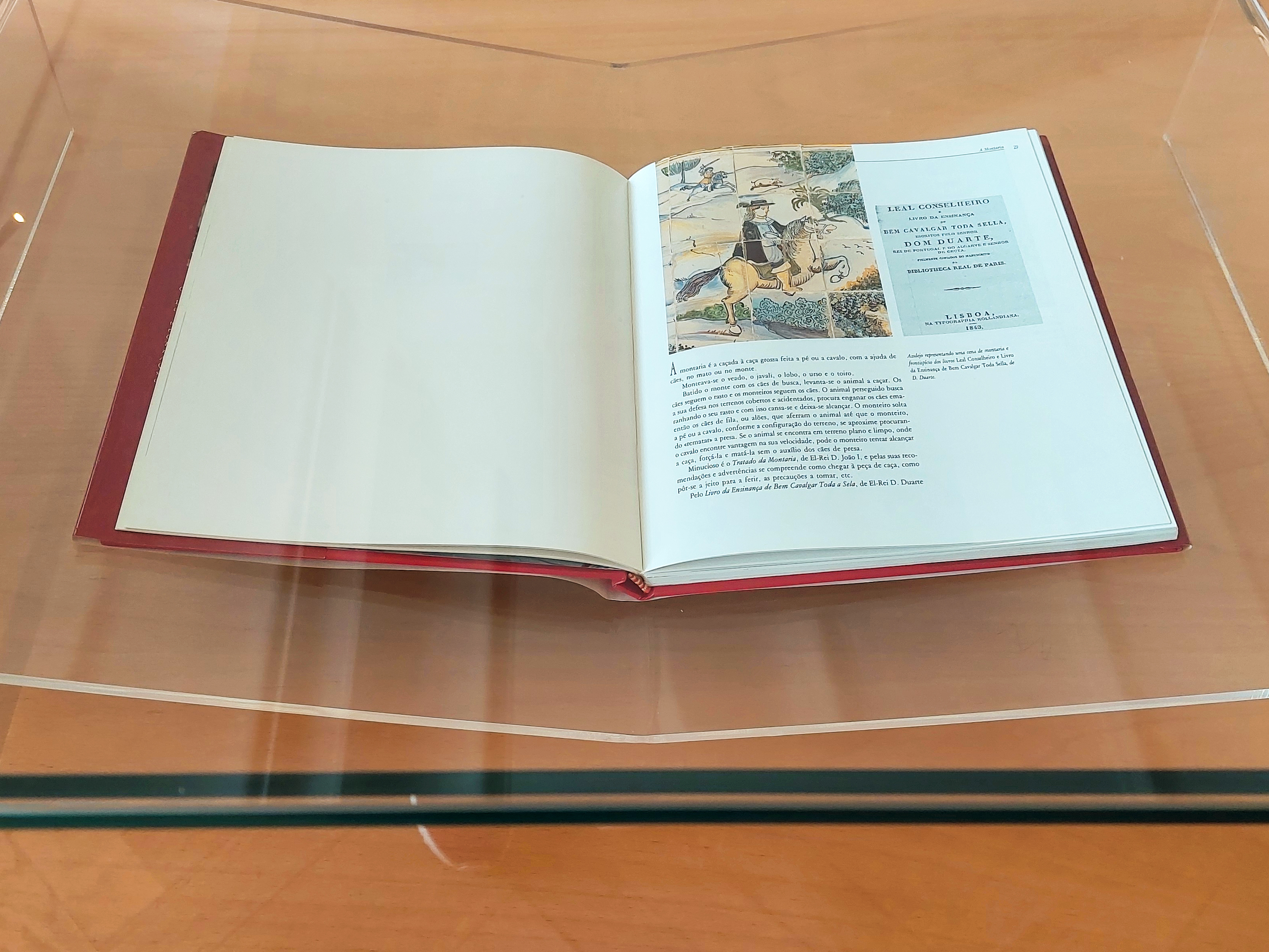 20241029 140034B Sem Legenda