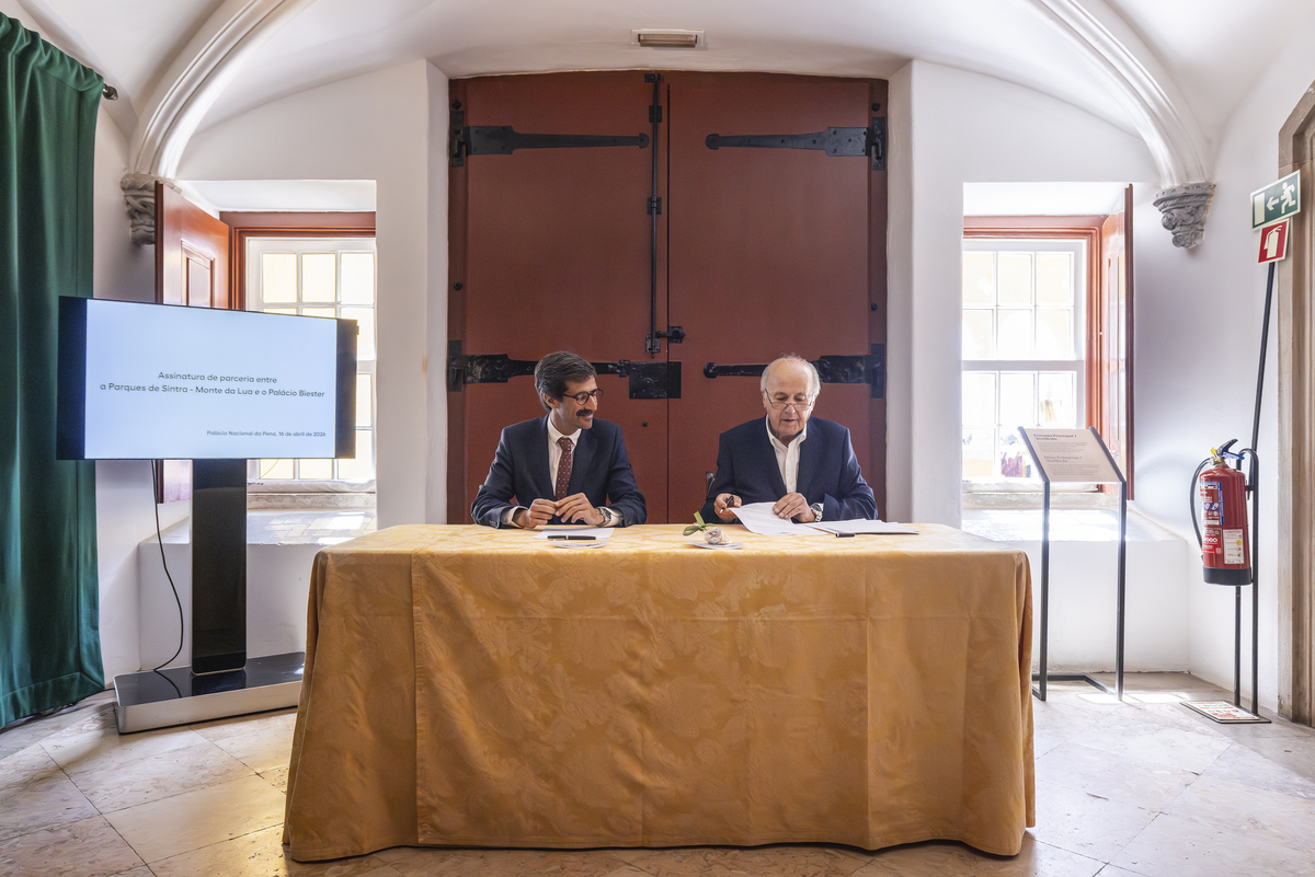 E7A9608©PSML Jose Marques Silva Bx