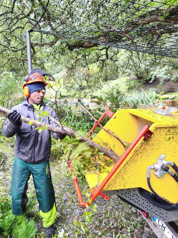 03 Parques De Sintra Transformacao De Madeira Caida Em Estilha Creditos PSML