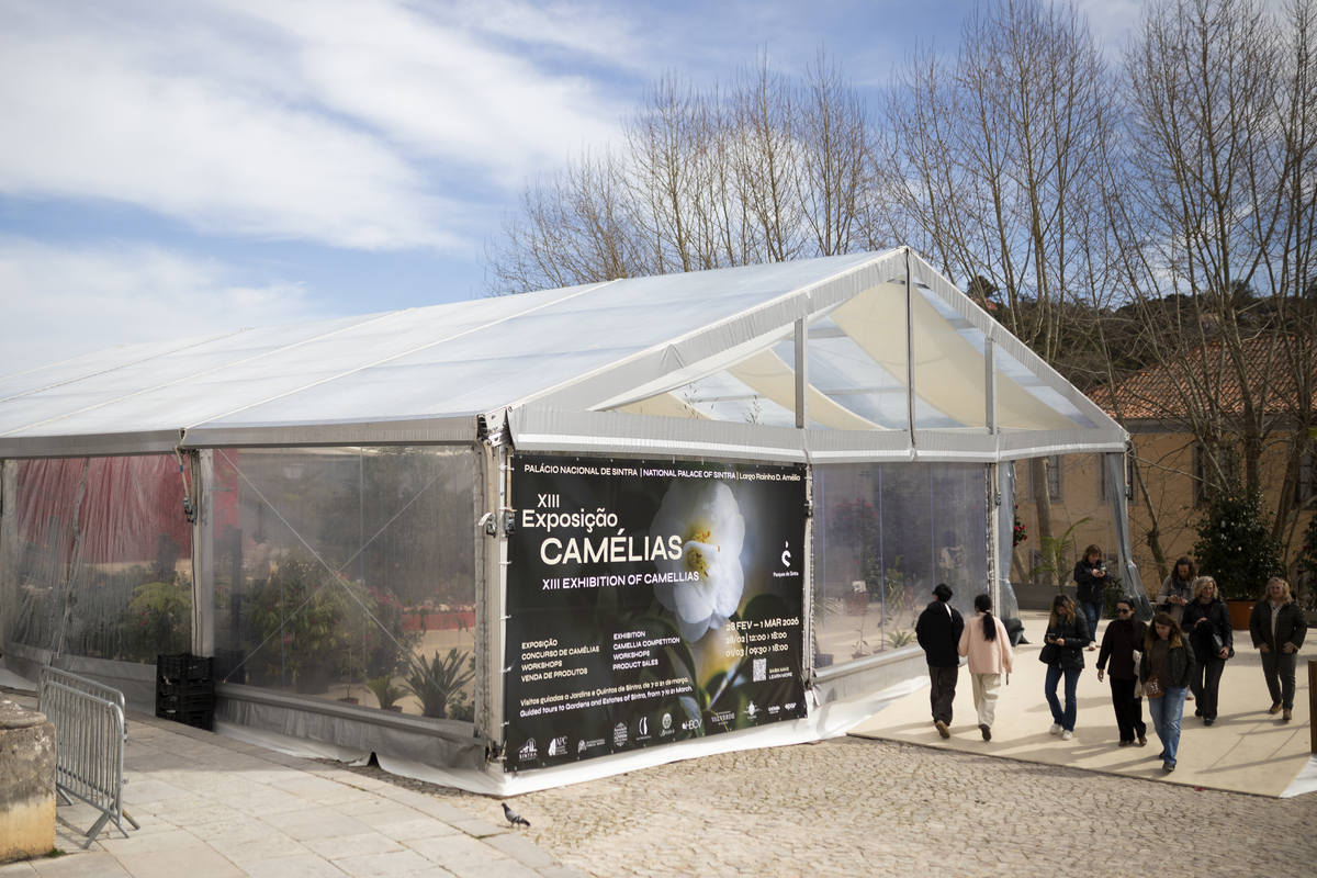 001 Exposição Camélias EMIGUS Bx